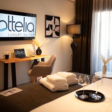 Ottelia Luxury 公寓 尼基季