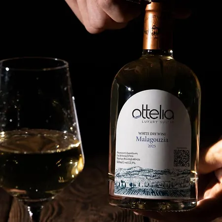 Ottelia Luxury * Nikiti (Sithonia)